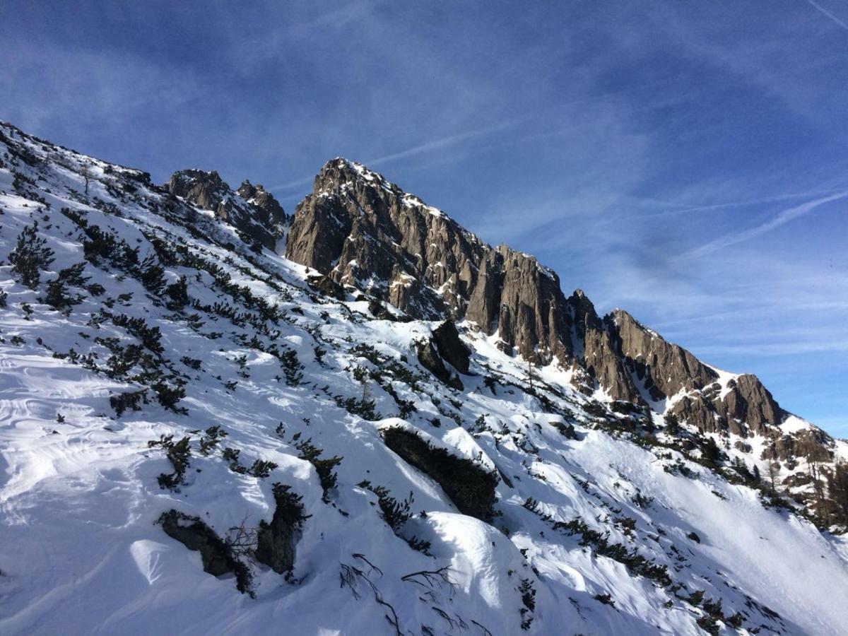 Апартаменти La Finestra Sulle Dolomiti - The Window To The Dolomites Фієра-ді-Прим'єро Екстер'єр фото
